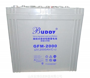 宝迪 Buddy——免维护蓄电池